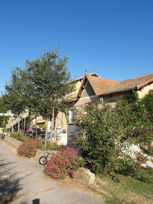 St Remy De Provence, La Maison Du Berger Saint-Andiol Екстериор снимка