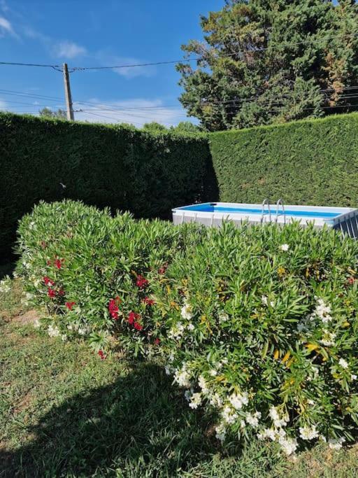 St Remy De Provence, La Maison Du Berger Saint-Andiol Екстериор снимка