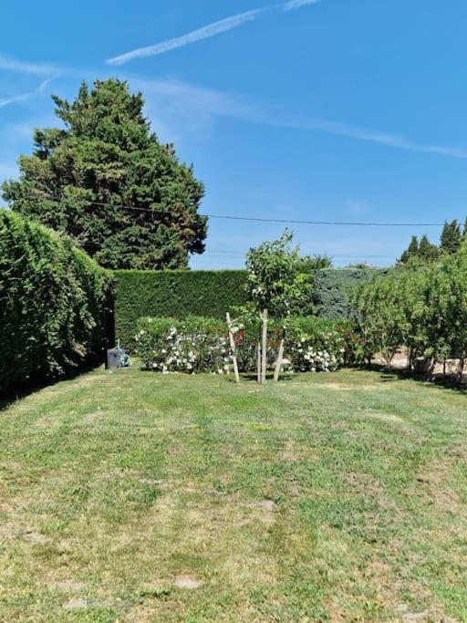 St Remy De Provence, La Maison Du Berger Saint-Andiol Екстериор снимка