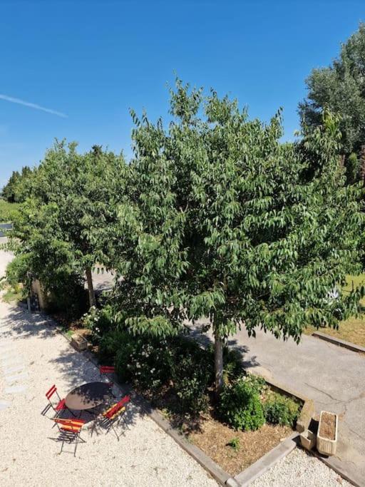St Remy De Provence, La Maison Du Berger Saint-Andiol Екстериор снимка
